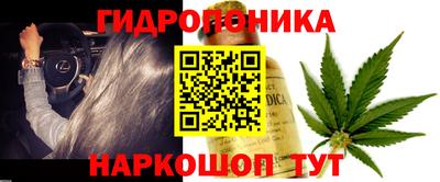 тгк Тула