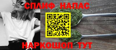 тгк Тула