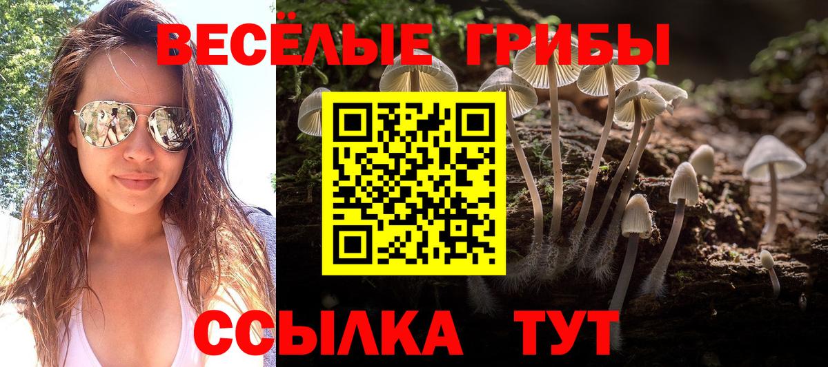 Псилоцибиновые грибы Cubensis Чапаевск